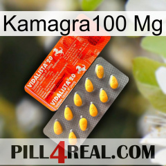 Kamagra100 Mg new01